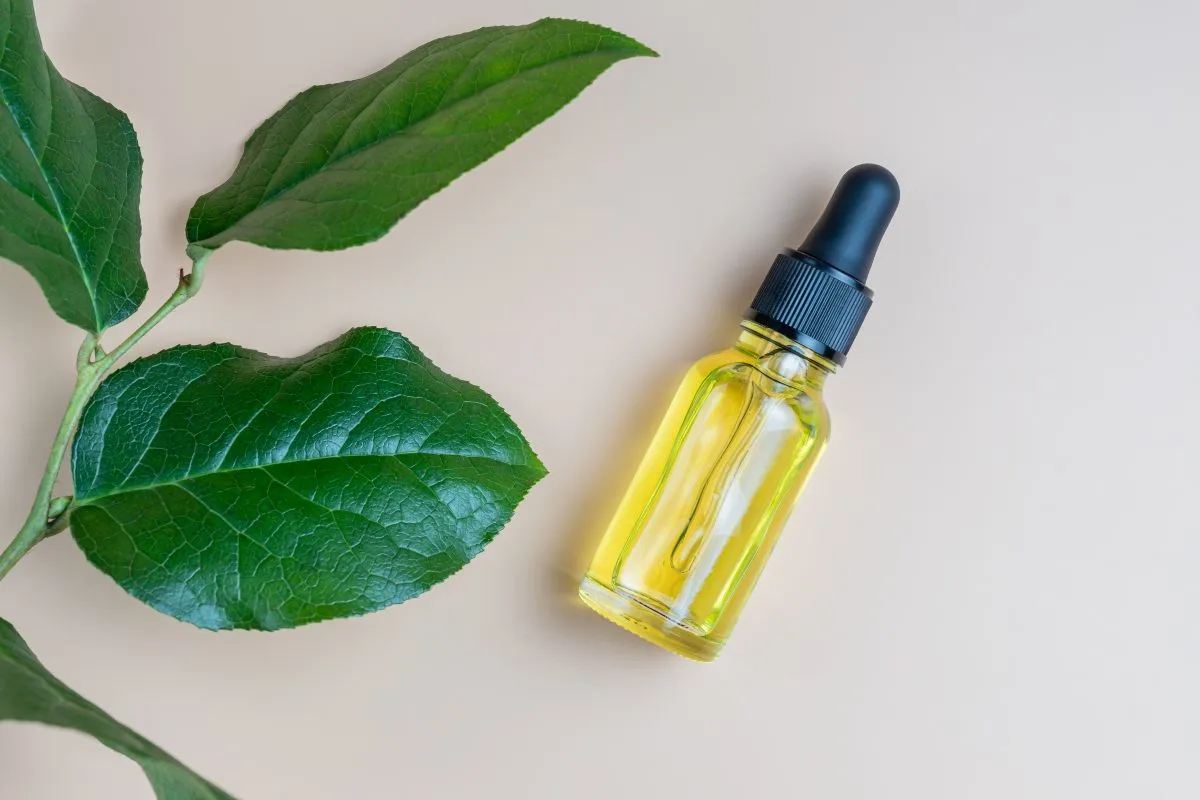 Óleo de Argan: conheça os benefícios e como usar
