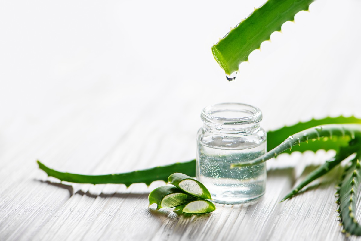 Como usar babosa no cabelo? Aprenda a tirar o melhor desse ingrediente